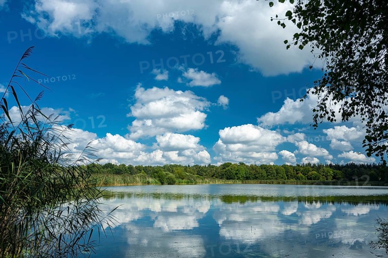 Cumulus clouds over Ahlhorn fish ponds, Ahlhorn, Lower Saxony, Germany