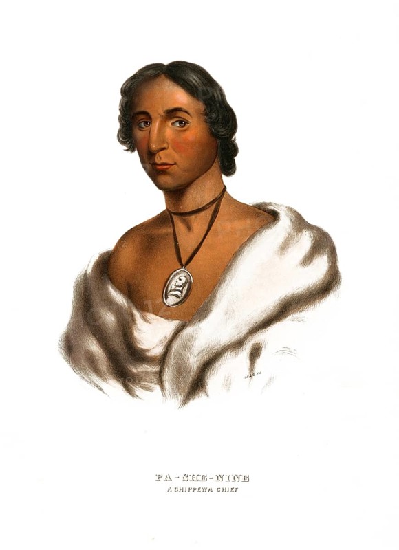 American Indian, Native American, Pa-She-Nine, Chief from the Chippewa tribe, United States of America, USA, Painting by Charles Bird King (1785, 1862), c. 1840, Historic, digitally restored reproduction from a 19th century original, Record date not stated