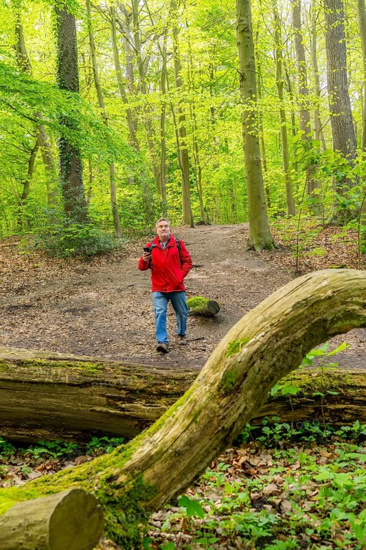 Symbolic image Hiking with smartphone and hiking app, navigation on hiking trails, digital hiking map with navigation, Komoot app, pre-programmed routes, GPS guides you precisely along the planned route, North Rhine-Westphalia, Germany