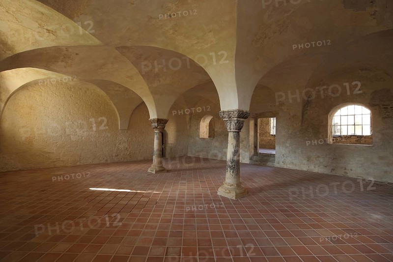Chapter house of Michaelstein Abbey, columns with vaulted walls, interior view, Blankenburg, Romanesque road, Harz, Saxony-Anhalt, Germany