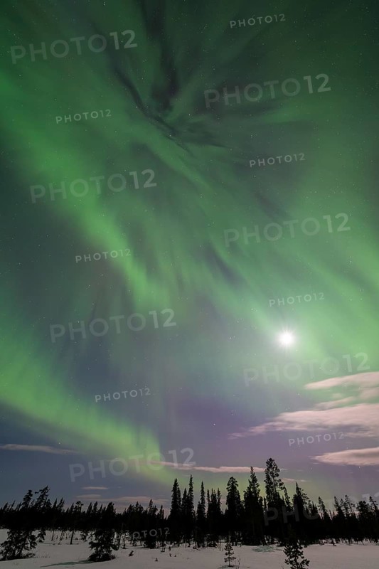 Northern Lights (Aurora borealis), Muddus National Park, Laponia World Heritage Site, Norrbotten, Lapland, Sweden, April 2025