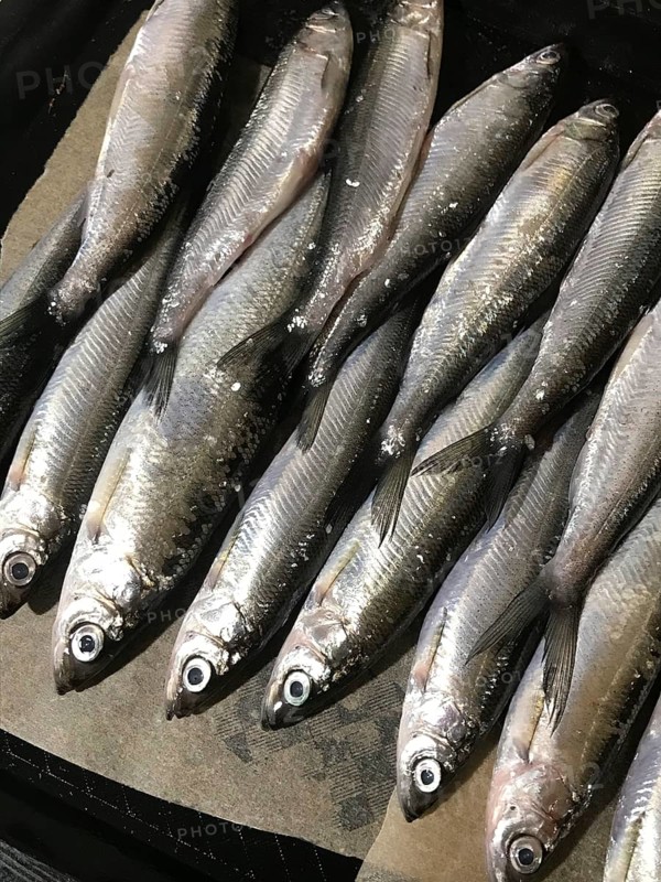 From above, a close-up of neatly arranged silver fish on a brown paper background. The shiny scales and uniform alignment enhance the fresh look of the seafood
