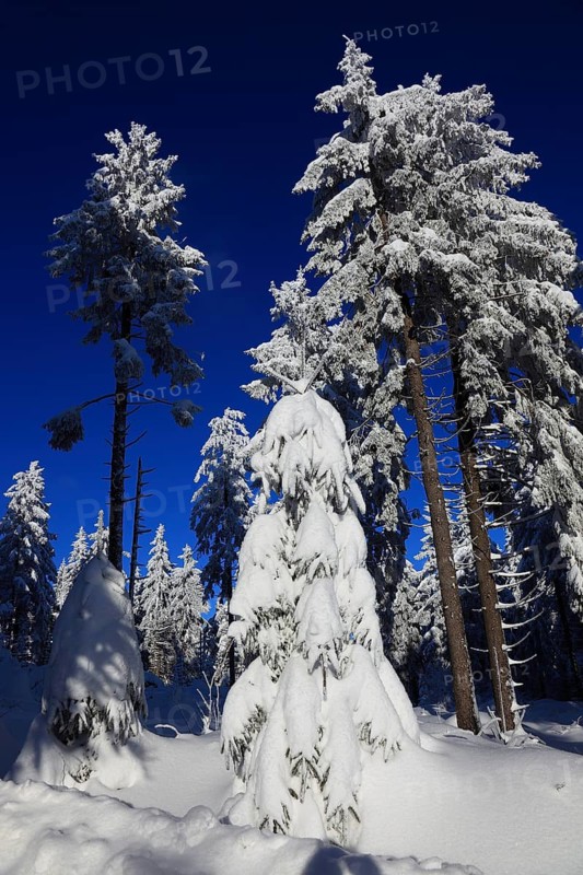 Winter landscape in the Fichtelgebirge, Bayreuth district, Upper Franconia, Bavaria, Germany