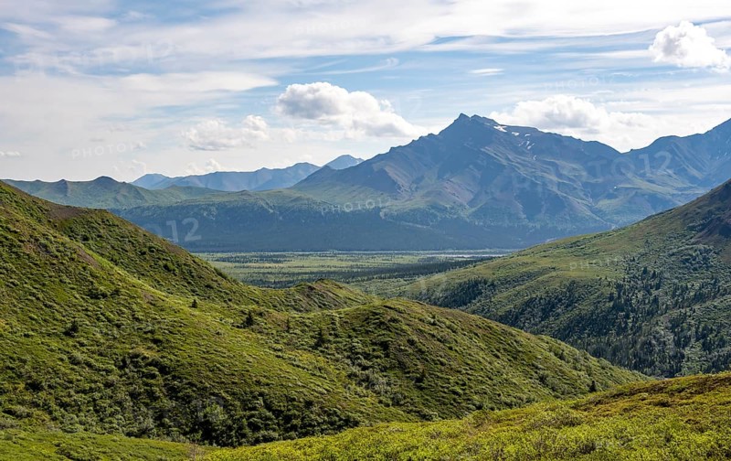 Tundra and mountainous landscape of the Alaska Range, Sable Pass, Denali National Park and Preserve, Alaska, USA