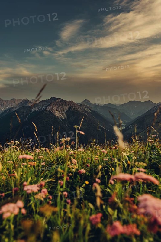 Hiking tour on the Hönig mountain in the Lechtal valley near Berwang in Tyrol, Austria
