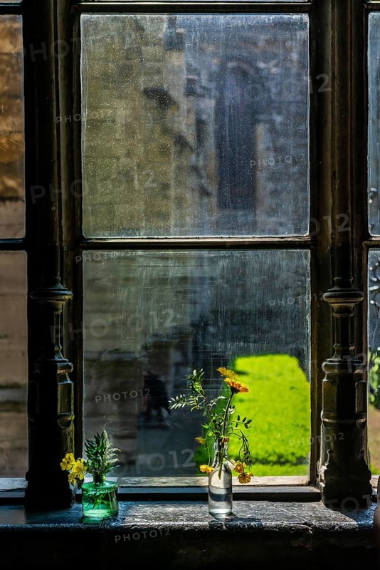 Window with two bottles of flowers and a view outside, bathed in sunlight