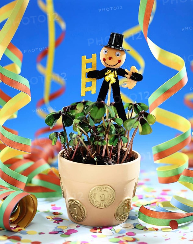 Symbol photo money, luck, saving, chimney sweep, lucky charm, four-leaf clover studio photo, Lower Saxony, Federal Republic of Germany