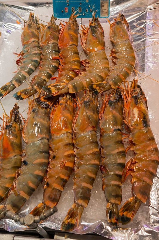 Prawns spread on ice, frozen presentation, raw prawns, fish market, Trouville-sur-Mer, Trouville, Normandy, France