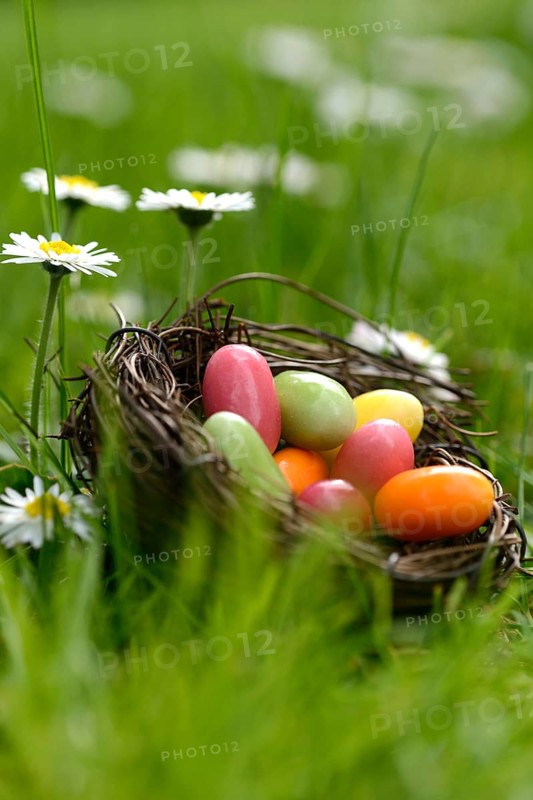 Sugar eggs in an Easter nest in the meadow with daisies