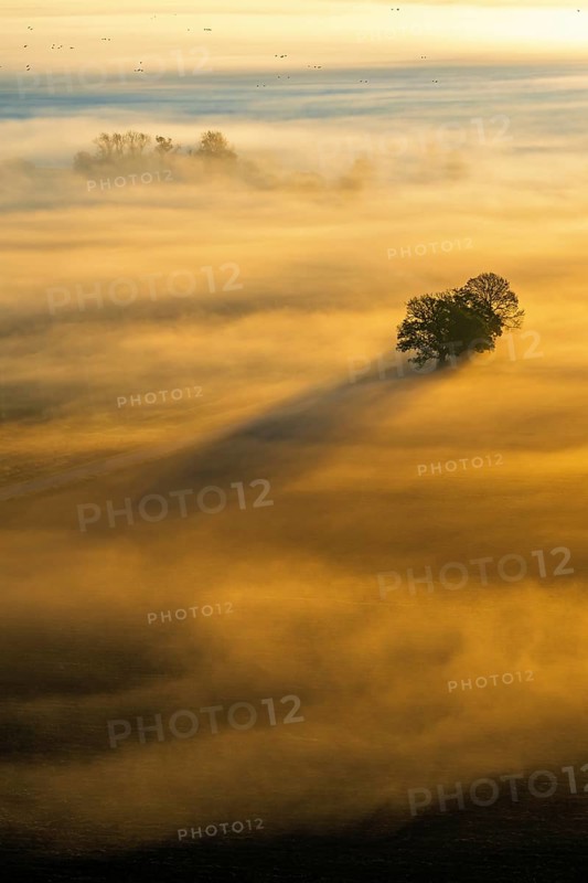 Rolling mist over the fields with trees in a beautiful sunrise with shadows and sunrays at autumn