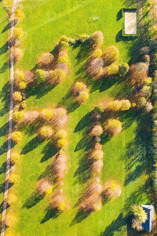 Aerial view of the pilgrimage meadow with tree planting in the form of a cross in the pilgrimage town of Rosenthal, Saxony, Germany