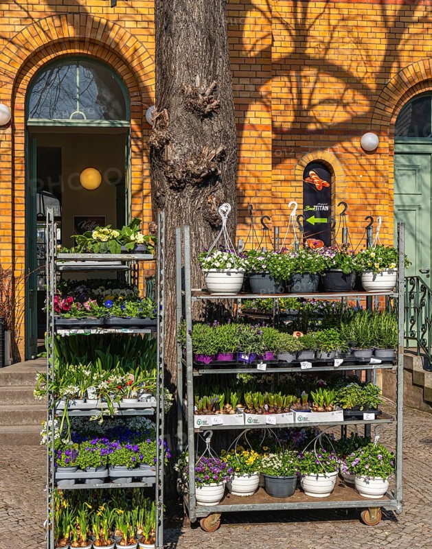 Shelves with flowers at the historic entrance area to Lichterfelde West S-Bahn station, Berlin, Germany