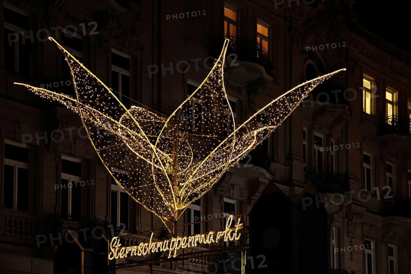 Illuminated shooting star market at Christmas market, night view with lighting, string of lights, petal, figure, Christmas decoration, inscription, Schlossplatz, Wiesbaden, Taunus, Hesse, Germany