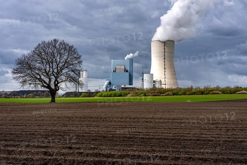 The UNIPER Datteln 4 coal-fired power plant, power plant block and cooling tower, fields, old trees, Datteln, North Rhine-Westphalia, Germany