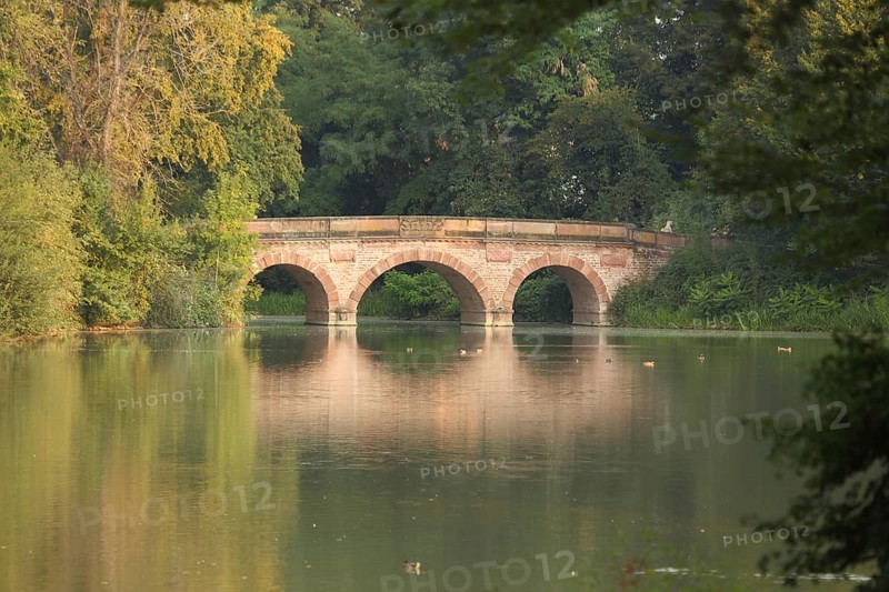 Red bridge on the pond landscape, stone arch bridge, autumn colors, Schönbusch Landscape Park, Aschaffenburg, Spessart, Lower Franconia, Franconia, Bavaria, Germany