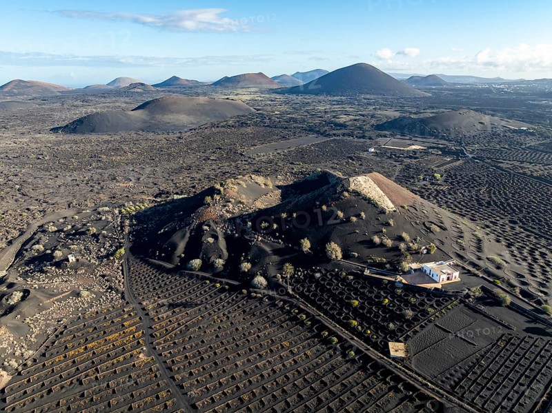 Typical drywall viticulture in volcanic landscape, on volcanic ash, lapilli, aerial view, vines, La Geria wine-growing region, Lanzarote, Canary Islands, Spain