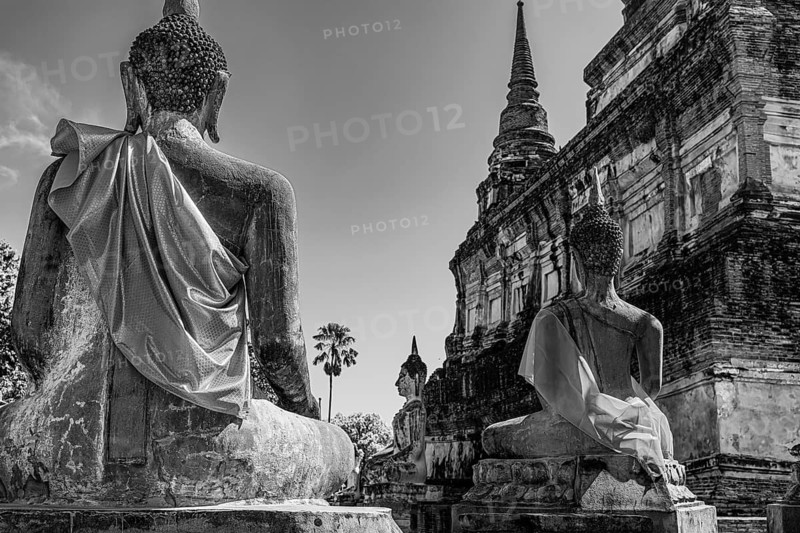Stone Buddha statues, historic Buddhist temple complex, black and white photo, Ayutthaya, Thailand