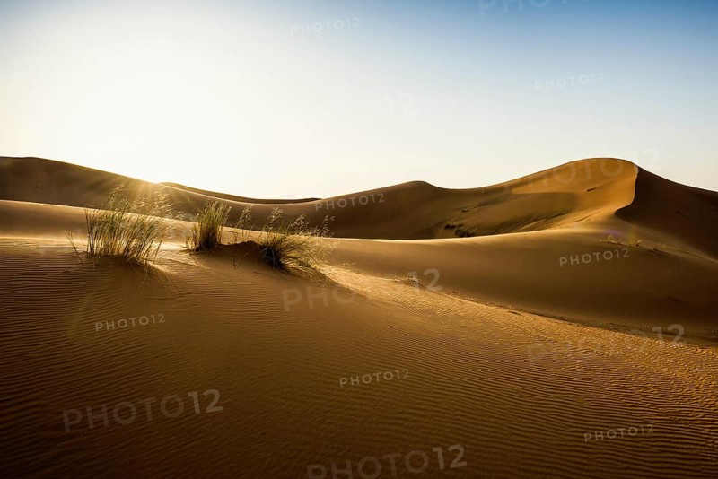 Sand dunes, sunrise, near Merzouga, Meknès-Tafilalet region, Erg Chebbi, northern Sahara, Morocco