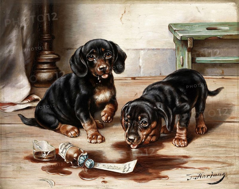 Carl Reichert, Karl Reichert, pseudonym J. Hartung (born 27 August 1836 in Vienna, died 5 April 1918 in Graz) . Austrian painter, especially landscape painter and animal painter. Here his work:, Two dachshunds with medicine, oil painting depicting two small dachshunds in a scene with a broken apothecary's bottle, Painting, Reproduction of the painting, Work of art, Historical
