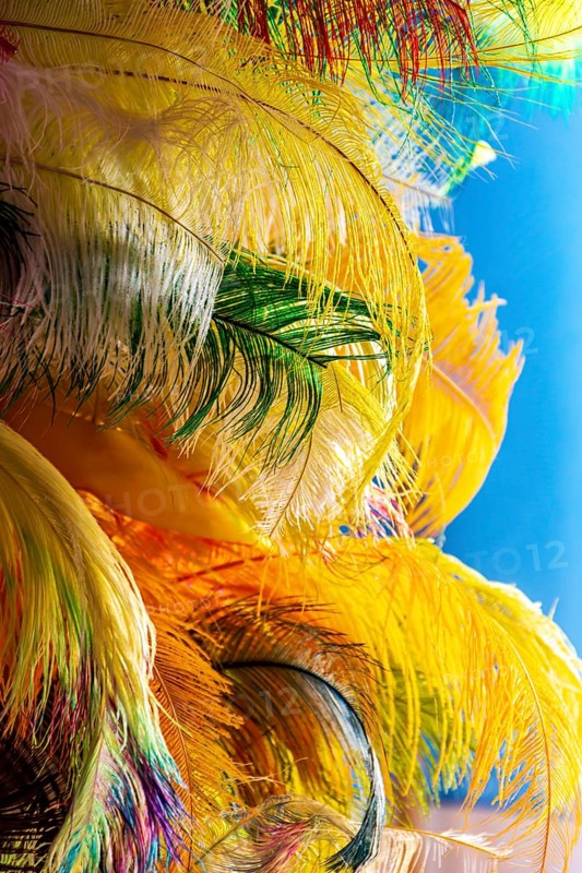 Colorful feathers and plumes that will be used to make carnival costumes in Brazil