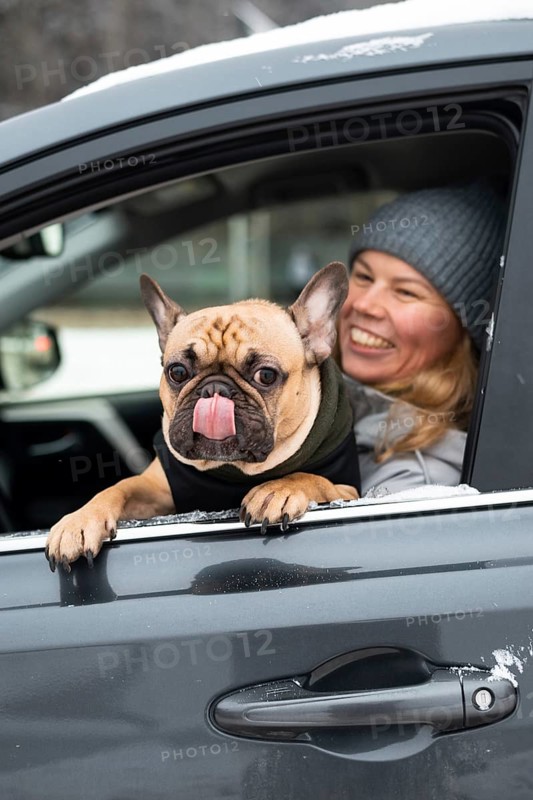 A happy woman in a winter hat sits in a car with a French Bulldog peeking out the window, tongue out, enjoying a cheerful snowy day outing