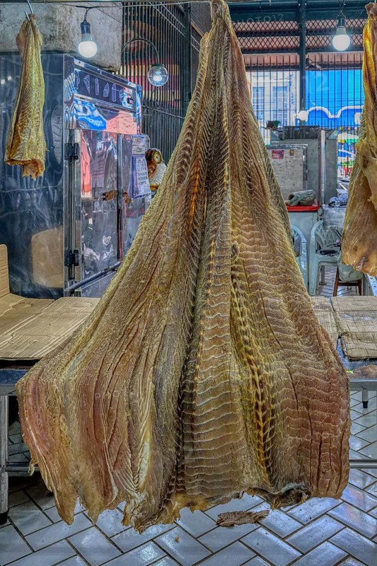 Giant pirarucu fish or (Arapaima gigas) fish hanging in the fish market section, Adolpho Lisboa market hall, Manaus, Amazonia State, Brazil