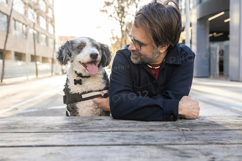 A man with a beard is affectionately gazing at his black and white dog while sitting on a bench in an urban setting. Both are enjoying a sunny day, with buildings in the background