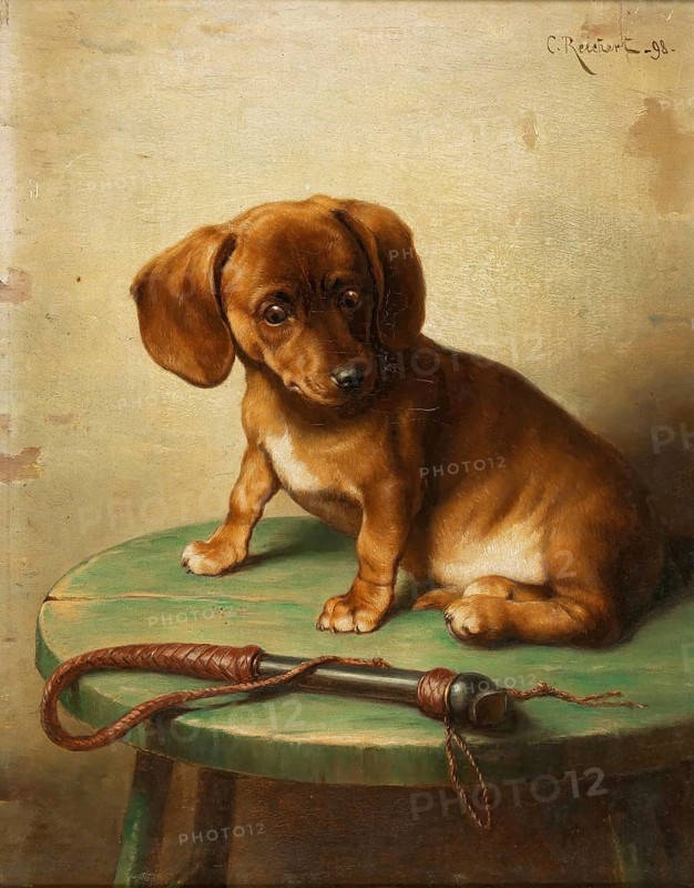 Carl Reichert, Karl Reichert, pseudonym J. Hartung (born 27 August 1836 in Vienna, died 5 April 1918 in Graz) . Austrian painter, especially landscape painter and animal painter. Here his work:, A Dachshund Puppy (1888), Painting, Reproduction of the painting, Work of art, Historical