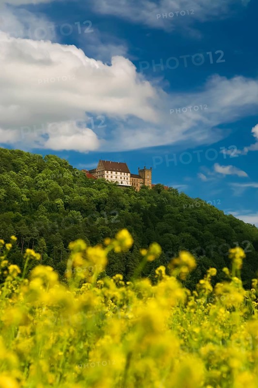 Weitenburg Castle, romantic hotel, historic building, residential castle in various architectural styles, Renaissance, Baroque, Neo-Gothic, cloudy atmosphere, rape field in bloom, Starzach, Neckar Valley, Baden-Württemberg, Germany