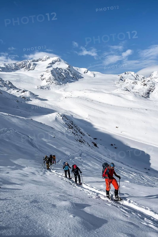 Ski tourers, behind the summit of Monte Cevedale, snow-covered mountain landscape, Ortler Alps, Vinschgau Valley, Italy