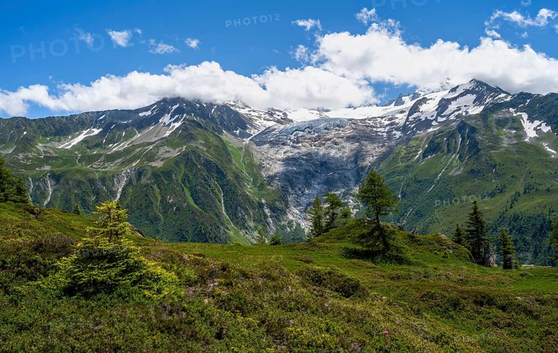 Mountain panorama with glaciated mountain peaks and glacier Glacier du Tour, hiking to the Aiguillette des Posettes, Chamonix, Haute-Savoie, France