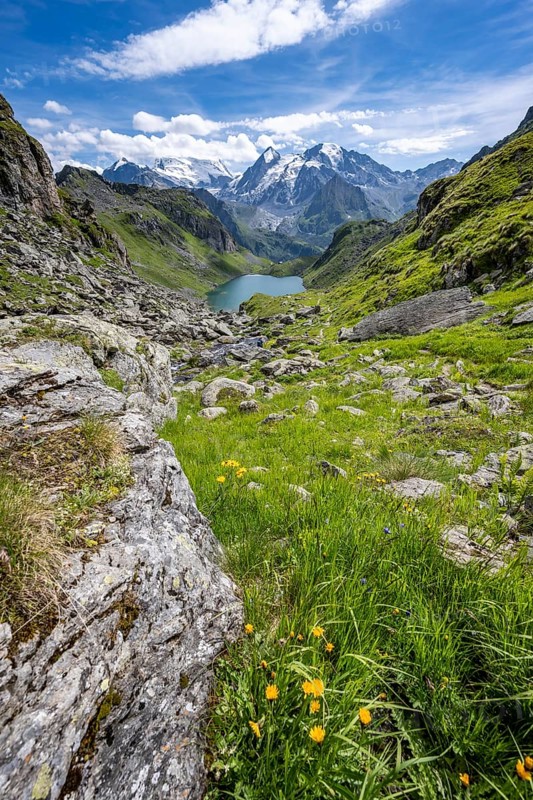 Picturesque mountain landscape, view of mountain lake Lac du Louvie and glaciated mountain peaks of the Grand Combine, Valais Alps, Val de Bagnes, Valais, Switzerland