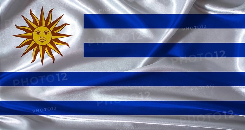 Uruguay flag with cloth textured background. National flag of Uruguay with realistic texture