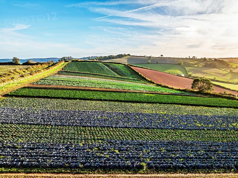 Colours of autumn Fields and Farms over Sheldon from a drone, Torbay, Devon, England, United Kingdom