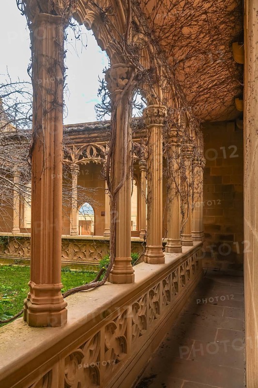 Vines intertwining with columns in the royal palace of olite, a medieval castle in navarre, spain, blend nature with architecture