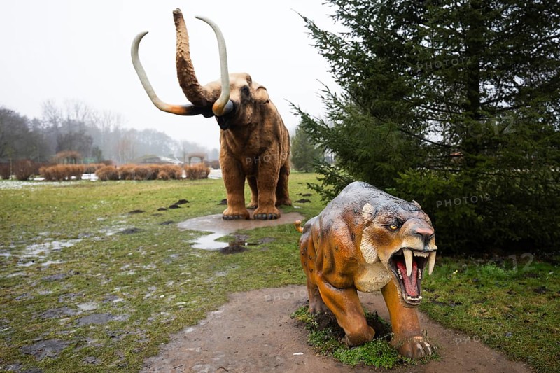 LUBIN, POLAND - JANUARY 15, 2026 - Park Wroclawski. Prehistoric mammal models including a woolly mammoth and saber-toothed tiger in an outdoor educational park during a cold winter day