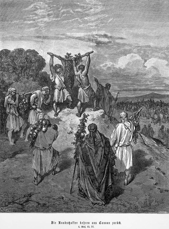 Fourth book of Moses, chapter 13, verse 27, The scouts return from Canaan, a land in which milk and honey flow, here are its fruits, Old Testament, mountain, joy, population, Bible, steel engraving Doré, historical illustration 1885