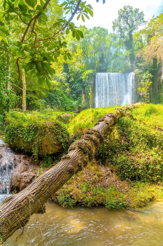 A fallen tree at La Caprichosa Waterfall in the Monasterio de Piedra Natural Park, Aragon, Spain