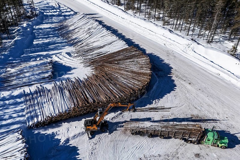 Heavy machinery unloading a lumber truck, Region of La Mauricie, Province of Quebec, Canada