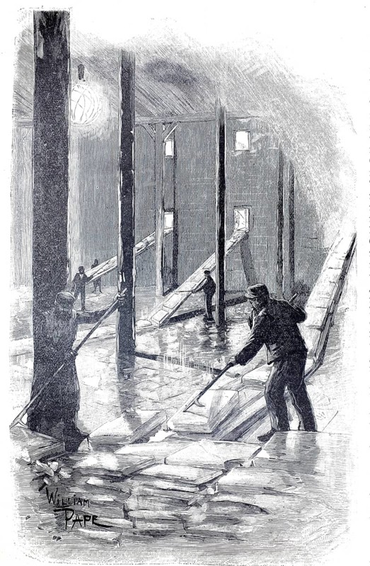 Extraction of natural ice for cooling, ice sheets are stored in ice storage, cold store, 1880, Germany, illustration, reproduction from a model from the 19th century. Authentic, file restored for optimal use, exact date of submission unknown, historic, workers moving wood in a humid factory landscape