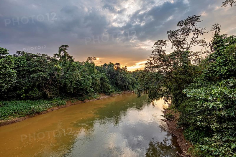 A river flows through a thick forest at sunset, the clouds reflect in the water, The Kalu river in Ratnapura in Sri Lanka
