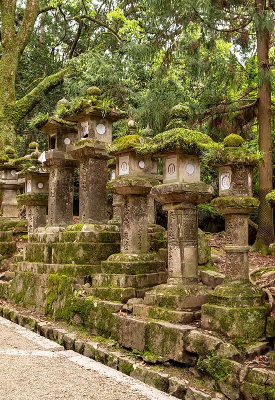 Stone lanterns, Kasuga-taisha shrine, Nara, Japan