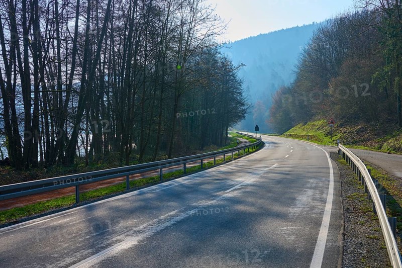 Deserted road in forest with trees and clear sky, Nibelungenstraße, Spring, Mondfeld, Main, Main-Tauber-Kreis, Baden-Württemberg, Germany