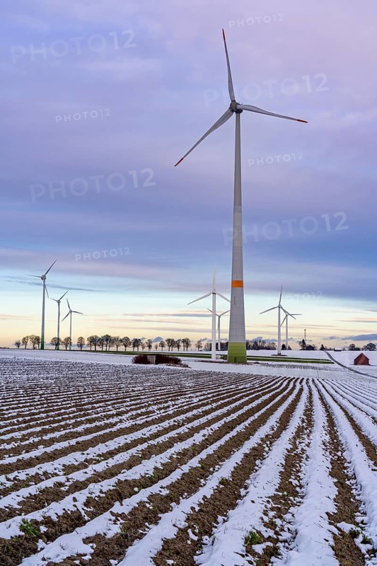 Wind farm, north of Lichtenau, self-proclaimed energy town, over 190 wind turbines and over 1200 solar panels generate 10 times as much electricity as the community of 11, 900 inhabitants consumes, largest onshore cluster of wind turbines in Germany, winter, slightly snow-covered landscape, North Rhine-Westphalia, Germany