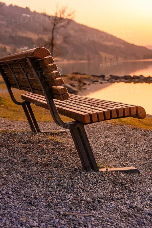 Wooden bench on the shore of a lake at sunset, quiet and relaxed atmosphere, Großer Alpsee, Immenstadt im Allgäu, Bavaria, Germany