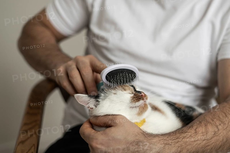 A fluffy cat enjoys a grooming session as a person gently combs its fur. The relaxed pet lies comfortably, showcasing a bonding moment of care and affection