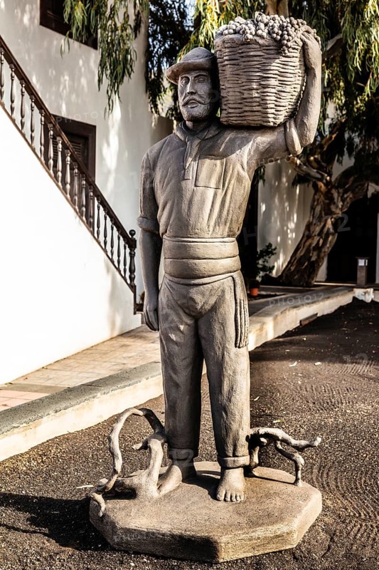 Oldest winery El Grifo with wine museum, wine-growing region and Gesamtkunstwerk La Geria, UNESCO World Heritage Site, Lanzarote, Canary Islands, Spain