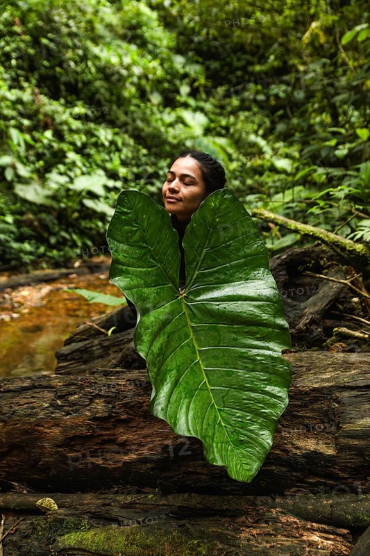 A young Ecuadorian woman with eyes closed, partially covered by a large leaf, is surrounded by the lush vegetation of the Choco Andino rainforest in Ecuador. She is actively engaged in the rainforest's environment