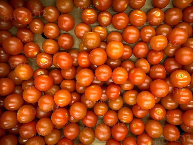 Cherry tomatoes, mini tomatoes, sweet tomatoes, cocktail tomatoes, international