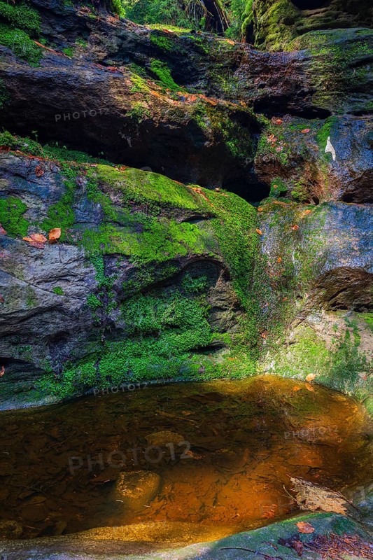 Glacial pothole filled with water at the Schwedenlöcher, a narrow gorge of the Amselgrund near the village of Rathen in Saxon Switzerland National Park, Saxony, Germany